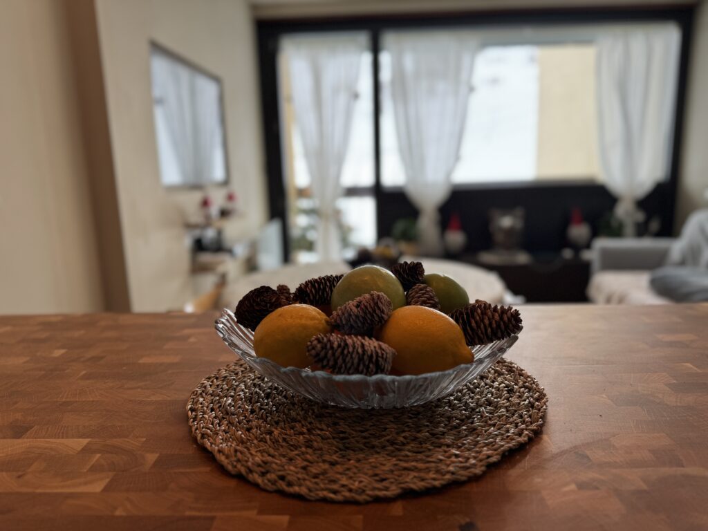 Location appartement Montgenevre salon