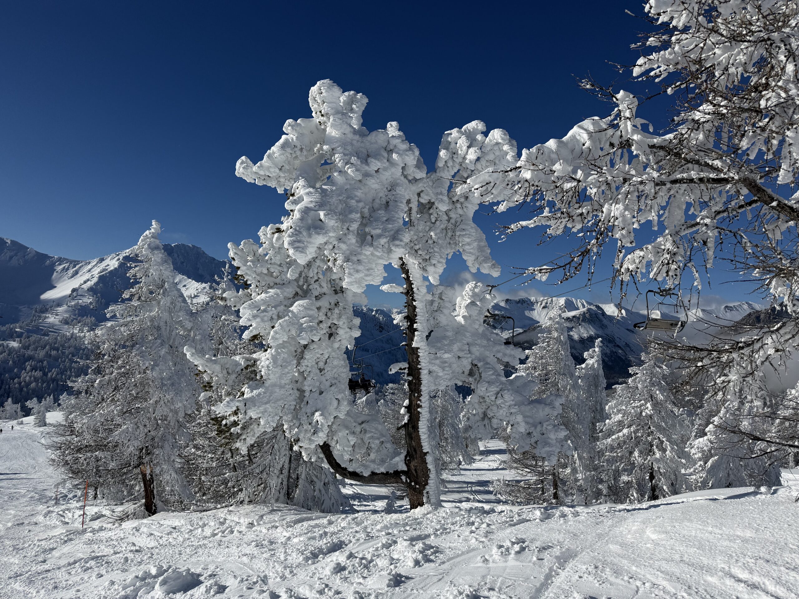 Studio ou appartement familial : que choisir pour vos vacances ?